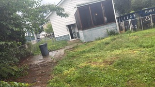 Yard Cleanup